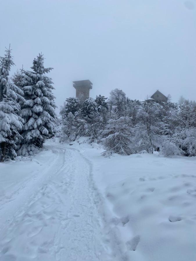Platynowy Apartment Szklarska Poreba Luaran gambar